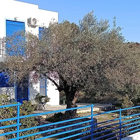 Blue *